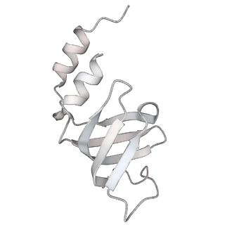 6561_3jcm_c_v1-1
Cryo-EM structure of the spliceosomal U4/U6.U5 tri-snRNP