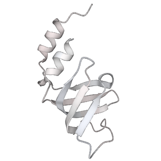 6561_3jcm_c_v1-2
Cryo-EM structure of the spliceosomal U4/U6.U5 tri-snRNP
