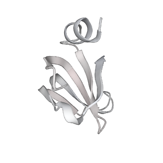 6561_3jcm_e_v1-2
Cryo-EM structure of the spliceosomal U4/U6.U5 tri-snRNP