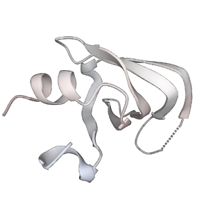 6561_3jcm_h_v1-1
Cryo-EM structure of the spliceosomal U4/U6.U5 tri-snRNP