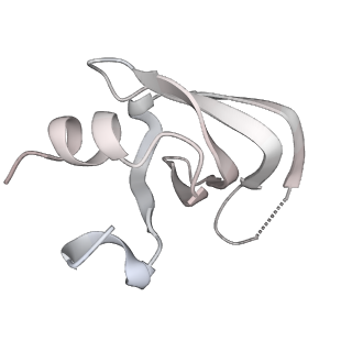 6561_3jcm_h_v1-2
Cryo-EM structure of the spliceosomal U4/U6.U5 tri-snRNP