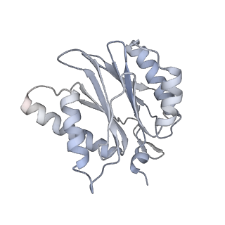 6574_3jco_5_v1-2
Structure of yeast 26S proteasome in M1 state derived from Titan dataset