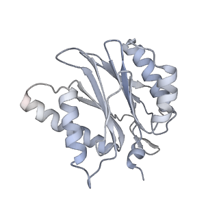 6574_3jco_5_v1-3
Structure of yeast 26S proteasome in M1 state derived from Titan dataset