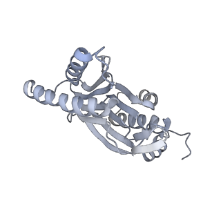 6574_3jco_7_v1-3
Structure of yeast 26S proteasome in M1 state derived from Titan dataset