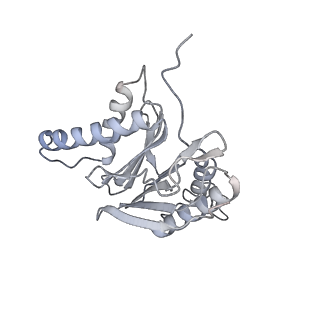 6574_3jco_8_v1-2
Structure of yeast 26S proteasome in M1 state derived from Titan dataset
