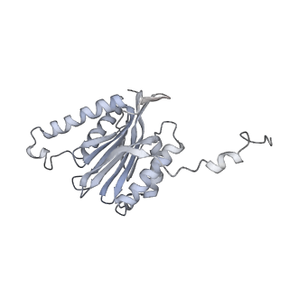 6574_3jco_9_v1-2
Structure of yeast 26S proteasome in M1 state derived from Titan dataset