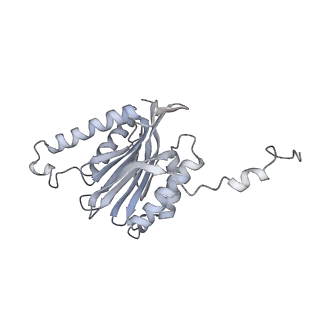 6574_3jco_9_v1-3
Structure of yeast 26S proteasome in M1 state derived from Titan dataset