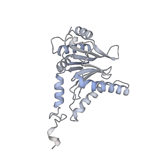 6574_3jco_C_v1-2
Structure of yeast 26S proteasome in M1 state derived from Titan dataset