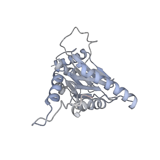 6574_3jco_D_v1-2
Structure of yeast 26S proteasome in M1 state derived from Titan dataset