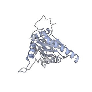 6574_3jco_D_v1-3
Structure of yeast 26S proteasome in M1 state derived from Titan dataset