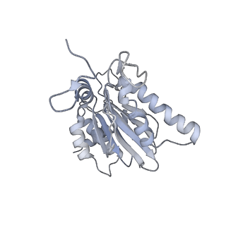 6574_3jco_E_v1-2
Structure of yeast 26S proteasome in M1 state derived from Titan dataset