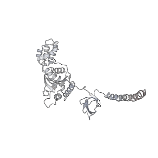 6574_3jco_M_v1-3
Structure of yeast 26S proteasome in M1 state derived from Titan dataset