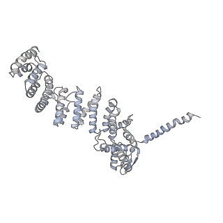 6574_3jco_P_v1-3
Structure of yeast 26S proteasome in M1 state derived from Titan dataset