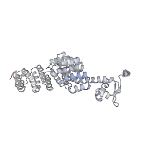 6574_3jco_Q_v1-3
Structure of yeast 26S proteasome in M1 state derived from Titan dataset