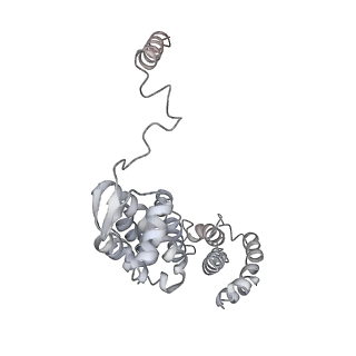 6574_3jco_T_v1-3
Structure of yeast 26S proteasome in M1 state derived from Titan dataset