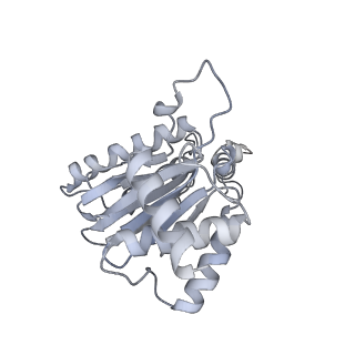 6574_3jco_a_v1-2
Structure of yeast 26S proteasome in M1 state derived from Titan dataset