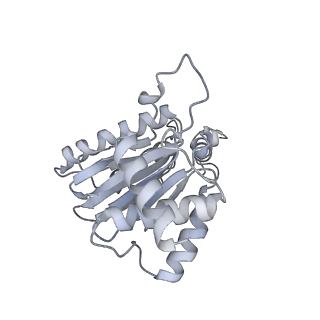 6574_3jco_a_v1-3
Structure of yeast 26S proteasome in M1 state derived from Titan dataset