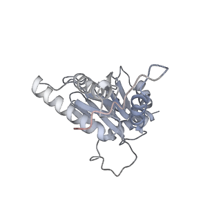6574_3jco_d_v1-2
Structure of yeast 26S proteasome in M1 state derived from Titan dataset