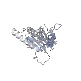 6574_3jco_d_v1-3
Structure of yeast 26S proteasome in M1 state derived from Titan dataset