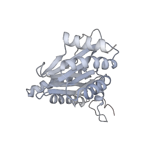 6574_3jco_g_v1-3
Structure of yeast 26S proteasome in M1 state derived from Titan dataset