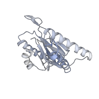 6574_3jco_k_v1-2
Structure of yeast 26S proteasome in M1 state derived from Titan dataset