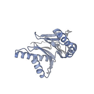 6575_3jcp_4_v1-2
Structure of yeast 26S proteasome in M2 state derived from Titan dataset