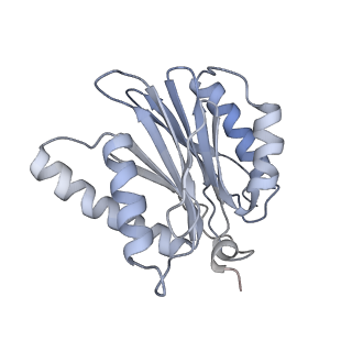 6575_3jcp_5_v1-2
Structure of yeast 26S proteasome in M2 state derived from Titan dataset