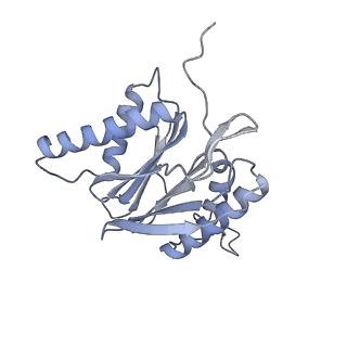 6575_3jcp_8_v1-3
Structure of yeast 26S proteasome in M2 state derived from Titan dataset