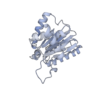 6575_3jcp_A_v1-2
Structure of yeast 26S proteasome in M2 state derived from Titan dataset
