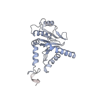 6575_3jcp_C_v1-2
Structure of yeast 26S proteasome in M2 state derived from Titan dataset