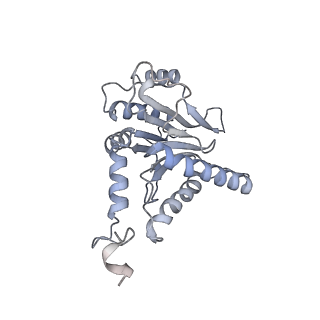 6575_3jcp_C_v1-3
Structure of yeast 26S proteasome in M2 state derived from Titan dataset