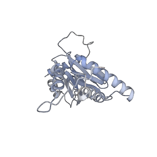 6575_3jcp_D_v1-2
Structure of yeast 26S proteasome in M2 state derived from Titan dataset