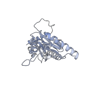 6575_3jcp_D_v1-3
Structure of yeast 26S proteasome in M2 state derived from Titan dataset