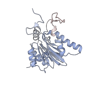 6575_3jcp_E_v1-3
Structure of yeast 26S proteasome in M2 state derived from Titan dataset