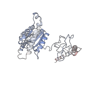 6575_3jcp_H_v1-2
Structure of yeast 26S proteasome in M2 state derived from Titan dataset