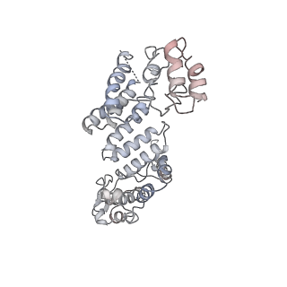 6575_3jcp_O_v1-2
Structure of yeast 26S proteasome in M2 state derived from Titan dataset
