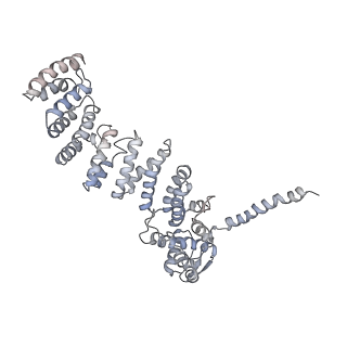 6575_3jcp_P_v1-2
Structure of yeast 26S proteasome in M2 state derived from Titan dataset