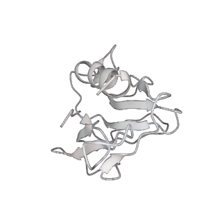 6575_3jcp_X_v1-3
Structure of yeast 26S proteasome in M2 state derived from Titan dataset