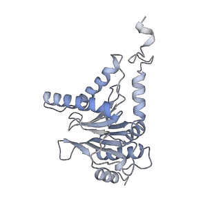 6575_3jcp_c_v1-3
Structure of yeast 26S proteasome in M2 state derived from Titan dataset