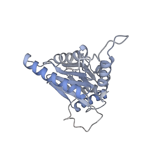 6575_3jcp_d_v1-3
Structure of yeast 26S proteasome in M2 state derived from Titan dataset