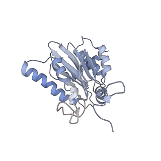 6575_3jcp_e_v1-3
Structure of yeast 26S proteasome in M2 state derived from Titan dataset