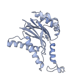 6575_3jcp_f_v1-2
Structure of yeast 26S proteasome in M2 state derived from Titan dataset