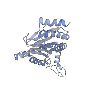 6575_3jcp_g_v1-2
Structure of yeast 26S proteasome in M2 state derived from Titan dataset