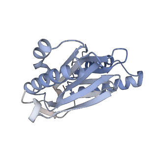 6575_3jcp_h_v1-3
Structure of yeast 26S proteasome in M2 state derived from Titan dataset