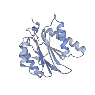 6575_3jcp_j_v1-3
Structure of yeast 26S proteasome in M2 state derived from Titan dataset