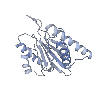 6575_3jcp_k_v1-3
Structure of yeast 26S proteasome in M2 state derived from Titan dataset