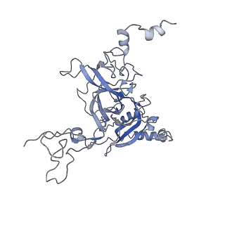 6583_3jcs_B_v1-2
2.8 Angstrom cryo-EM structure of the large ribosomal subunit from the eukaryotic parasite Leishmania