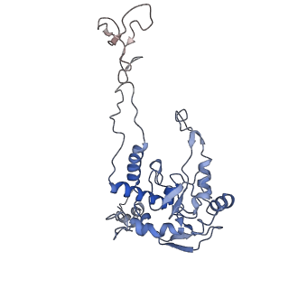 6583_3jcs_C_v1-2
2.8 Angstrom cryo-EM structure of the large ribosomal subunit from the eukaryotic parasite Leishmania