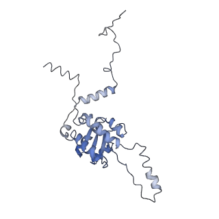 6583_3jcs_G_v1-2
2.8 Angstrom cryo-EM structure of the large ribosomal subunit from the eukaryotic parasite Leishmania