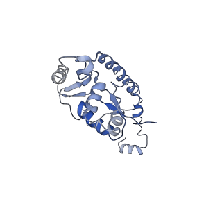 6583_3jcs_H_v1-2
2.8 Angstrom cryo-EM structure of the large ribosomal subunit from the eukaryotic parasite Leishmania